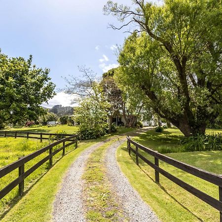 Jacaranda Lodge Coromandel 외부 사진