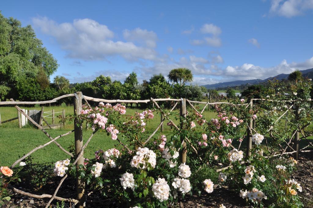 Jacaranda Lodge Coromandel 외부 사진