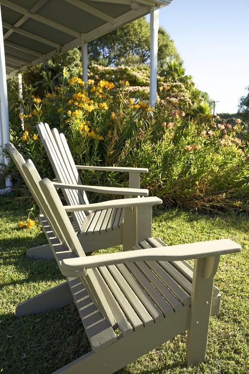 Jacaranda Lodge Coromandel 외부 사진