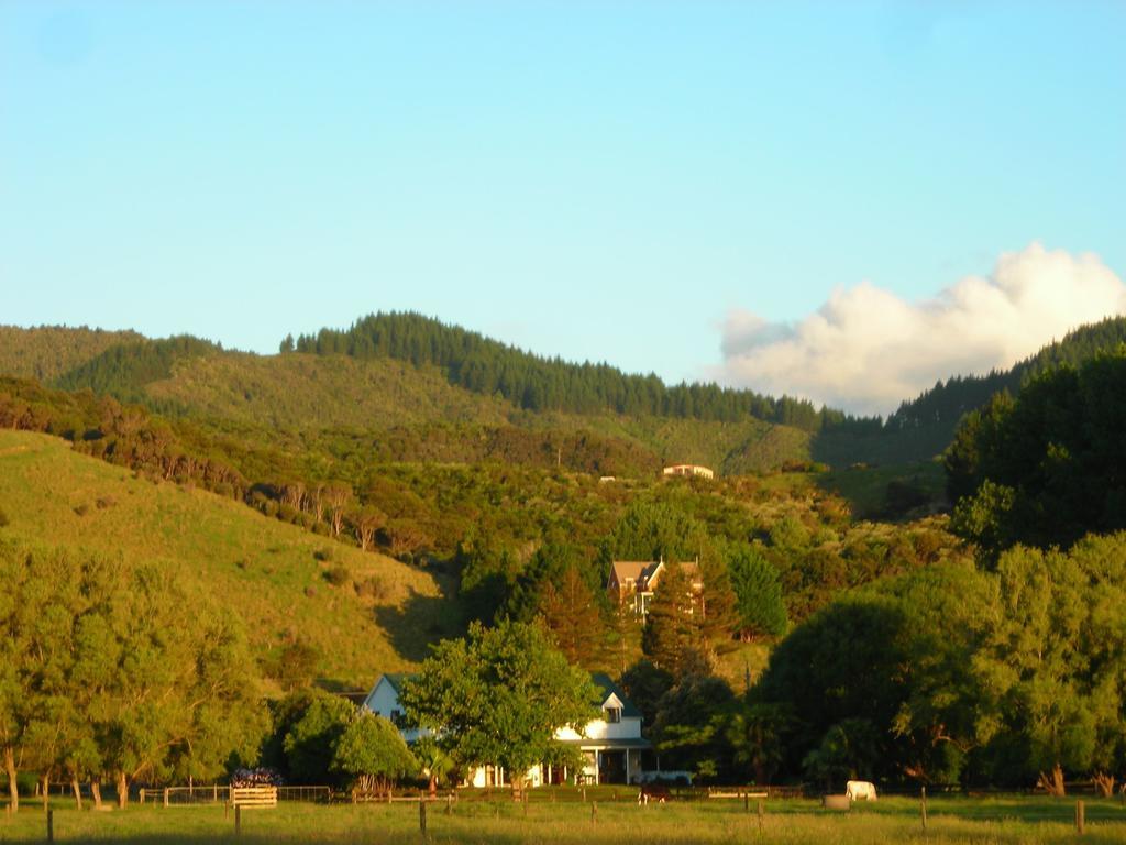 Jacaranda Lodge Coromandel 외부 사진