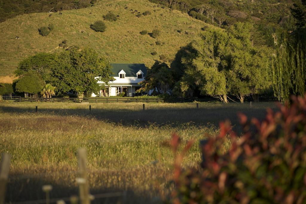 Jacaranda Lodge Coromandel 외부 사진