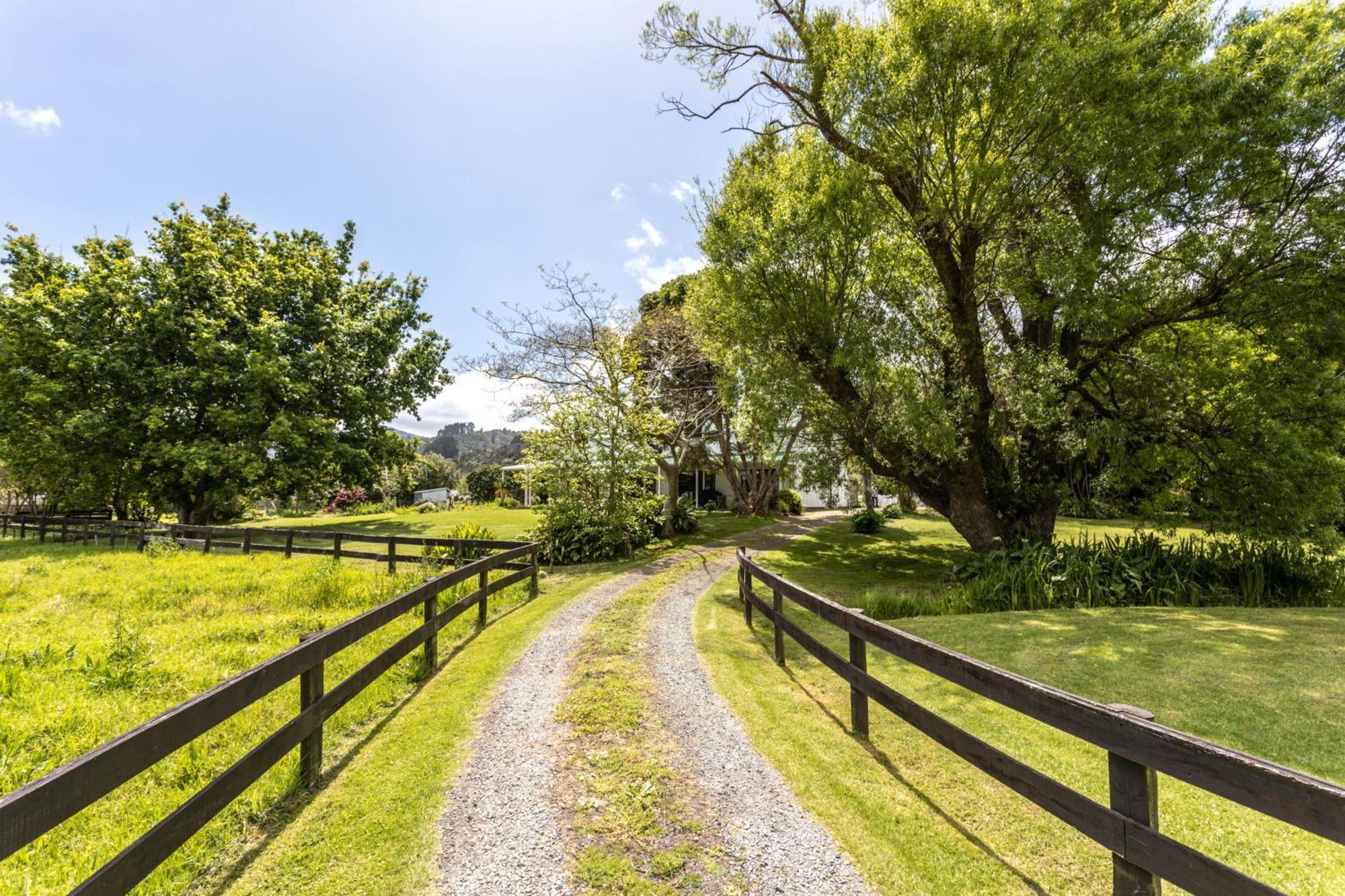 Jacaranda Lodge Coromandel 외부 사진