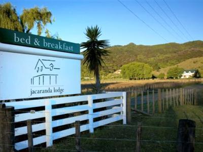 Jacaranda Lodge Coromandel 외부 사진