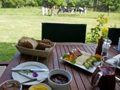 Jacaranda Lodge Coromandel 외부 사진